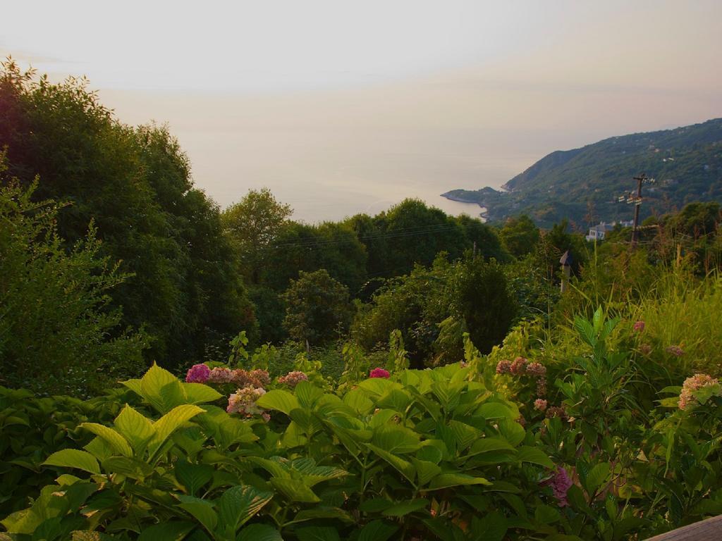 Villa Aglaini Agios Dimitrios  Bagian luar foto